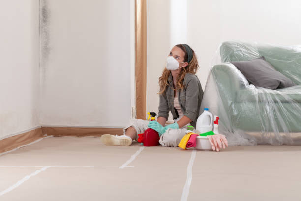 Reliable Mold Inspection contractor in Stanwood, MI by WQB Mold Removal